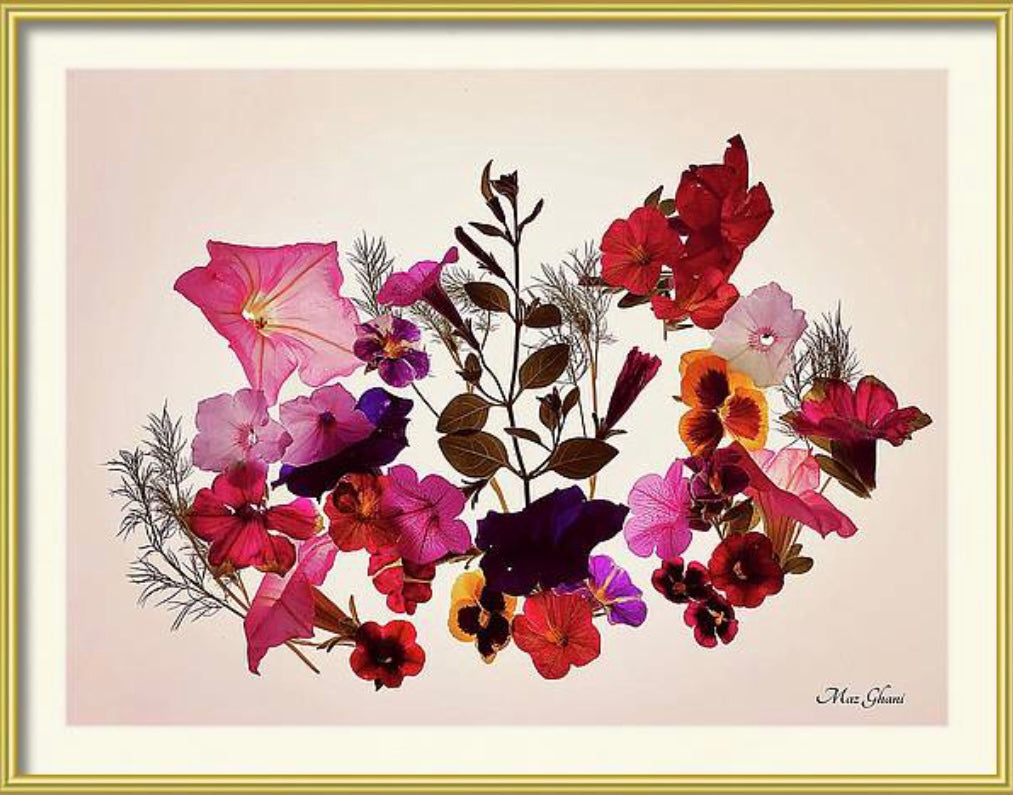 Floralis Framed Botanical Photo Art Print