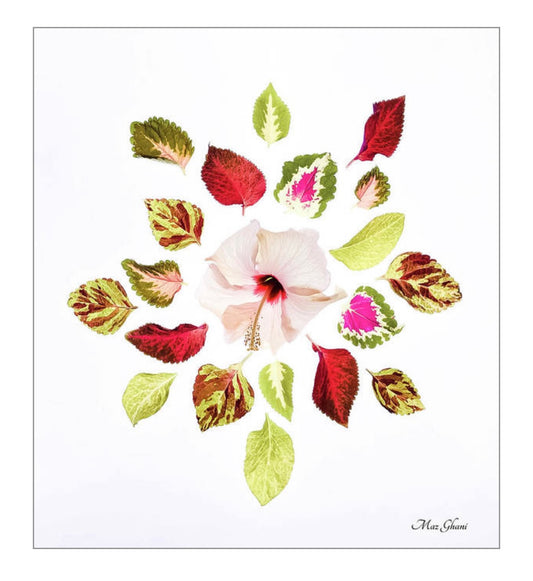 Harmony Botanical Photo Art Print