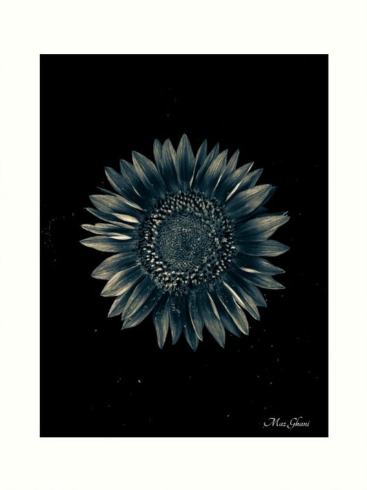 Celestial Botanical Photo Art Print